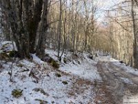 2026-03-21 Monte Ginepro 039